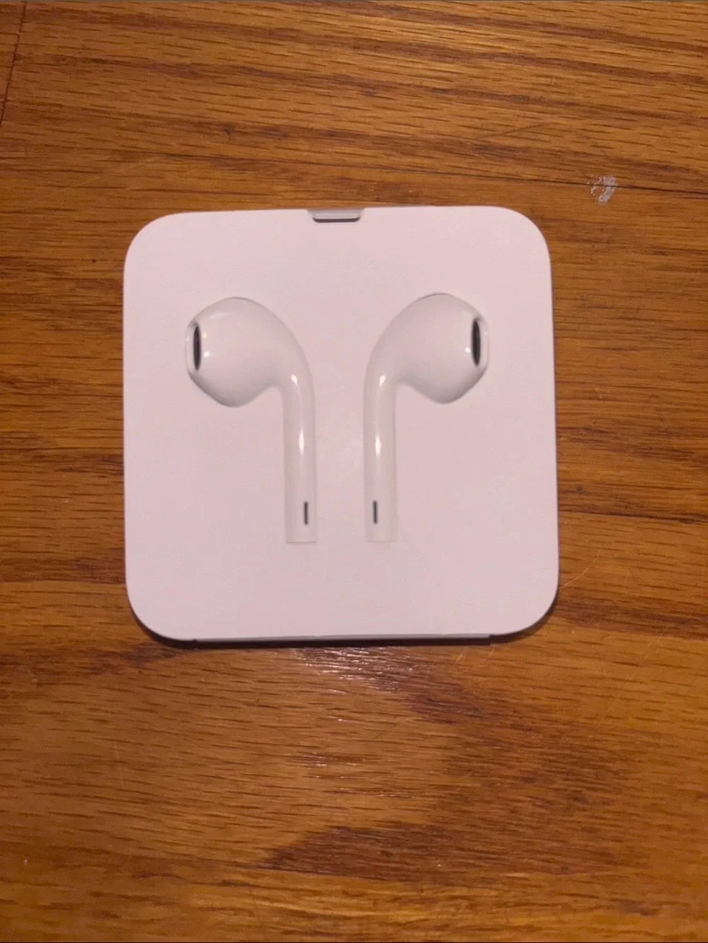 Apple Earphones USB-C